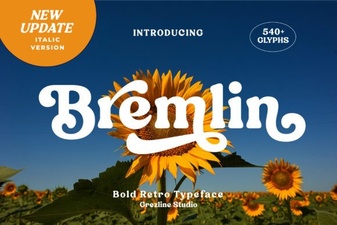 Bremlin Italic Serif Font - Elegant Classic Typeface for Design